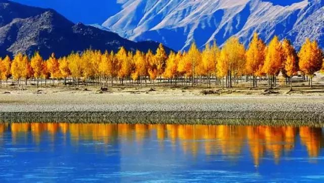 http://7xo6kd.com1.z0.glb.clouddn.com/upload-ueditor-image-20170825-1503665293835066965.jpg 天進(jìn)儀器